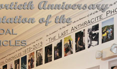 Web Hosting and Maintenance